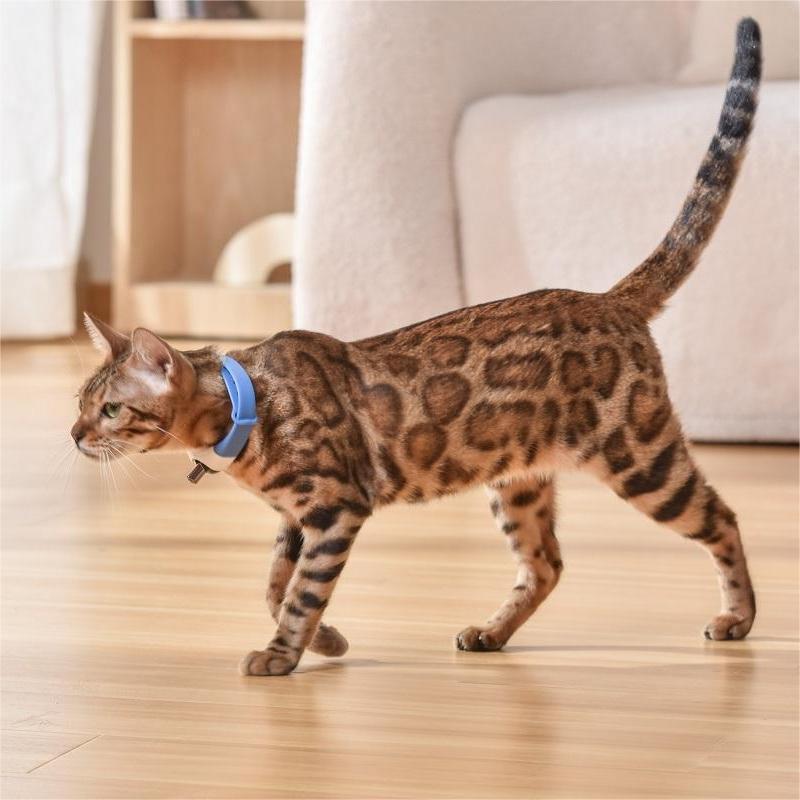 Laser Cat Collar